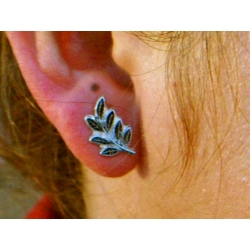 aretes-acacia