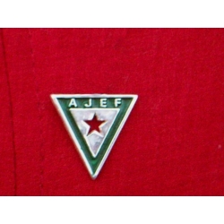 pin-ajef