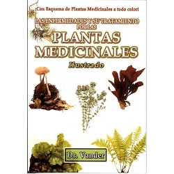 las-plantas-medicinales-con-esquema-de-planta