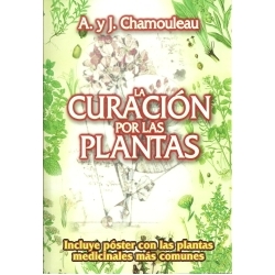 la-curacion-por-las-plantas-medicinales