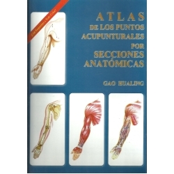 atlas-de-los-puntos-acupunturales