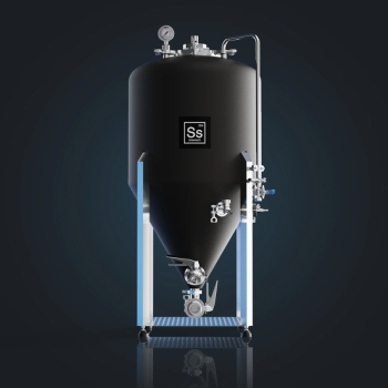 1-bbl-unitank-ss-brewtech
