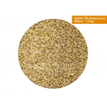 malta-2h-americana-briess-1kg