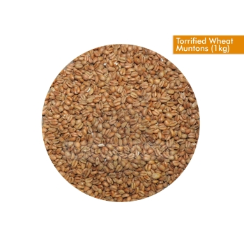 muntons-malta-torrified-wheat