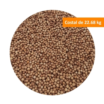 semilla-de-coriander-costal-de-2268-kg
