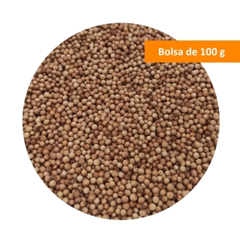 semilla-de-coriander-bolsa-de-100-g