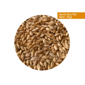 rahr-malta-north-star-pils-bolsa-de-1-kg