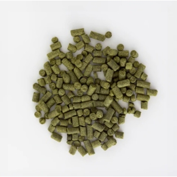 lupulo-us-cluster-bolsa-50-g