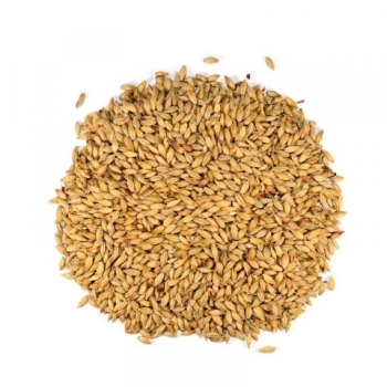 malta-dingemans-aromatic-bolsa-de-1-kg