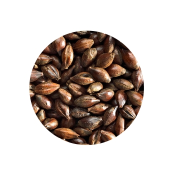 malta-simpsons-roasted-barley-bolsa-de-1-kg
