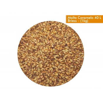 malta-caramelo-40-l-briess-1kg