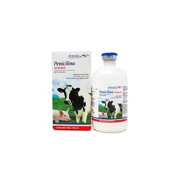 penicilina-acuosa-100ml