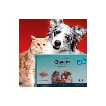 clavam-250mg-14-tab