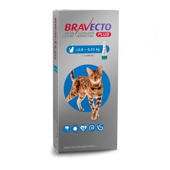 bravecto-plus-topical-solution-for-cats-greater-than-62-138-lbs-2-month-supply