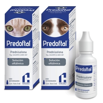 predoftal-5ml-drops