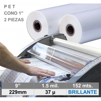 pet-brillante-229