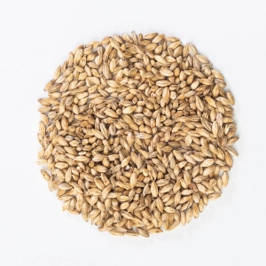 MALTA PILSEN MALTEUROP