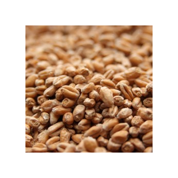 trigo-claro-weyermann-pale-wheat-malt