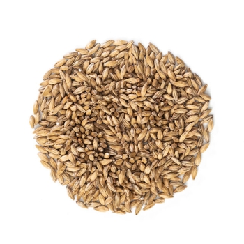 MALTA VIENA MALTEUROP (VIENNA)