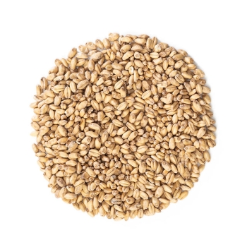 malta-de-trigo-blanco-malteurop