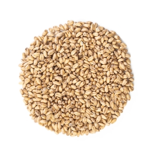 MALTA DE TRIGO BLANCO MALTEUROP