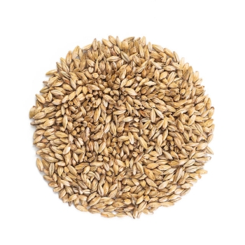 malta-munich-malteurop