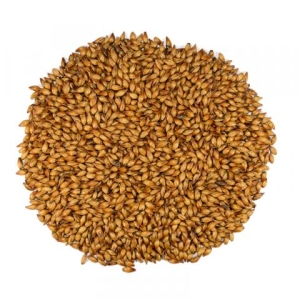 SPECIAL B DINGEMANS 1 kg