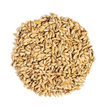 malta-steamed-c-35-malteurop-similar-a-dextrin