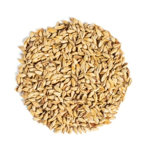 MALTA STEAMED C 3.5 MALTEUROP (similar a Dextrin)