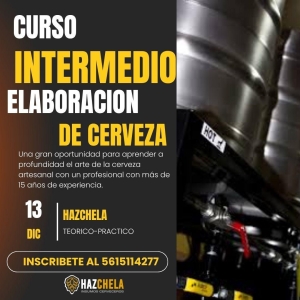 CURSO INTERMEDIO ELABORACION DE CERVEZA 13 de Diciembre 2025
