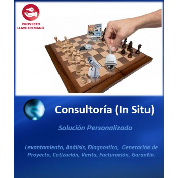 consultoria-in-situ