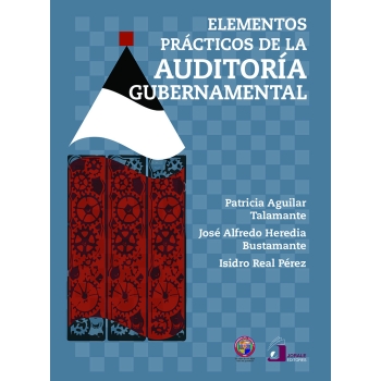 elementos-practicos-de-la-auditoria-gubernamental