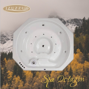 tina-spa-sin-faldon-marca-izuzzu-modelo-octagon