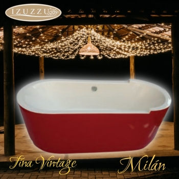 tina-vintage-para-sobreponer-marca-izuzzu-modelo-milan