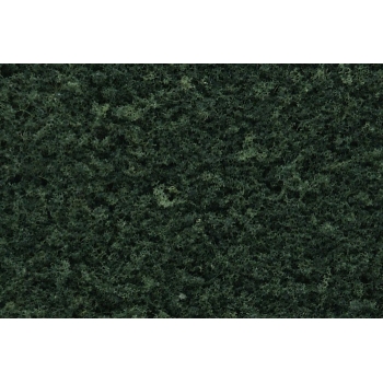 follaje-verde-bosque