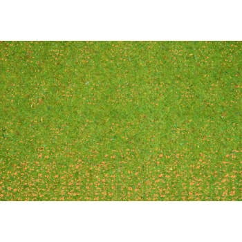 follaje-mezcla-pasto-verde-fresco-mediano